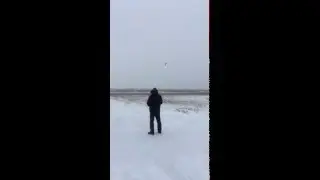 Goblin 570 12S maiden flight