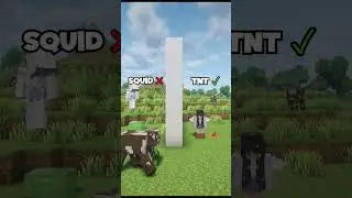 Minecraft Lying Challenge! #minecraftshorts #shorts @weeetch