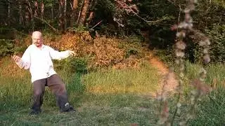 Full Taiji, structure yin