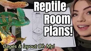 Future Reptile Room Plans!