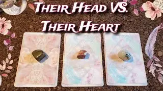 🤔💕 Their Head VS. Their Heart 🥴💕 Pick A Card Reading 🤯 How Are They Feeling About You?