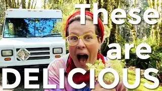 Поиск дикой пищи в Vanlife Cooking \ Step Van Queer Vanlife
