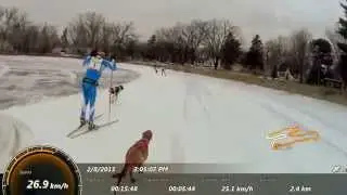 Skijor Race at Mora Vasaloppet 2015-02-08