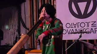 애니멀 다이버스(Animal Divers) - Jackfish Storm