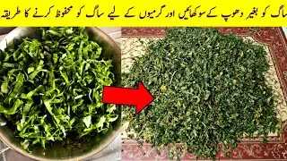 How to Dry Saag At Home Without Sun | Saag Ko Dry Karne Ka Tarika |