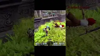 《Dragon Nest Classic》Paladin Combo Highlight｜13.5.2025