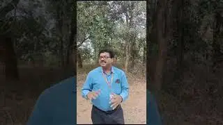 JSR Group Suncity Emerald Venture