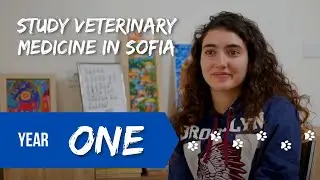 First Year as a Veterinary Medicine student - Subjects, Exams, Tips | University of Forestry, Sofia