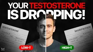 Why Modern Men Are Losing Testosterone (And How To Fix It)