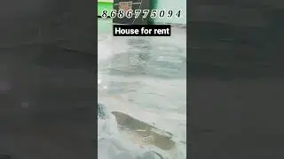 house for rent 2bhk