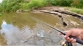 Exploring A Tiny Shallow Creek In Kansas City - Line Creek Fishing