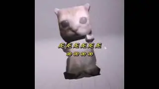 GATO CUADRADO BAILANDO - POR QUE TE DEMORAS