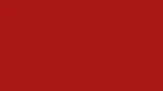 B21807 Tomato Sauce Red