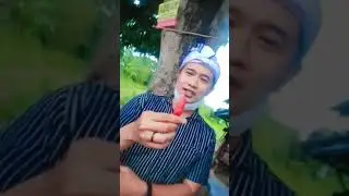 begini ternyata rasanya timun Padang 