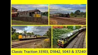 33103, D1842 With Tones On The Ecclesbourne Valley Railway / 5043 Earl Of Mount Edgecumbe & 37240