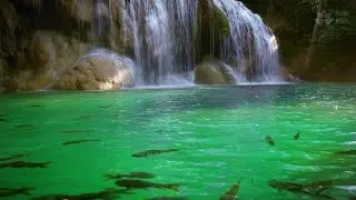 Calming nature sounds. Waterfall and turquoise river in Thai jungle. 10 hours