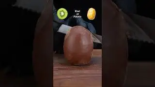 Kiwi🥝 or Potato🥔