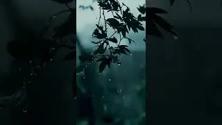 Deep Green Noise for Instant Calm | Relaxing Rain & Water |  🌧️
