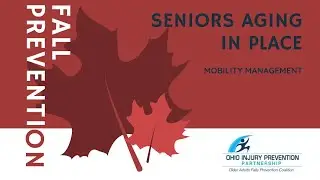 Seniors Aging In Place - Mobility Management