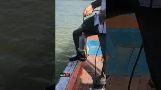 പുഴ സംരക്ഷണം River water quality monitoring! CTD profiling #shorts #sciencevideos #malayalam