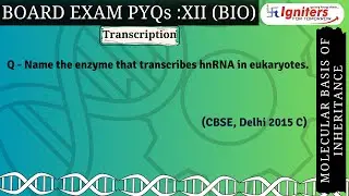 Name the enzyme that transcribes hnRNA in eukaryotes.          (CBSE, Delhi 2015 C)