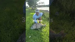 Black drum #cool#fishing#blackdrum#bigfish