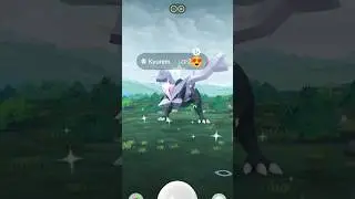 Shiny kyurem encounters Shundo Hunt diaries
