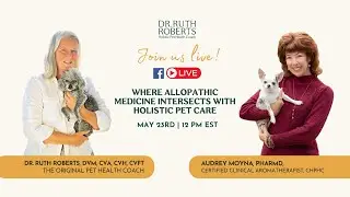 Where Allopathic Medicine Intersects with Holistic Pet Care