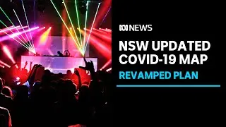 Epidemiologist understands why NSW government changed COVID-19 roadmap | ABC News