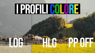 LOG, HLG O PP OFF?? I PROFILI COLORE SPIEGATI FACILE!