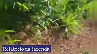 Fazenda de 500 alqueires com 400 de pasto em Camaru do Norte
