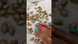 Домашние тыквенные семечки без масла такие вкусные и хрустящие! #шорты