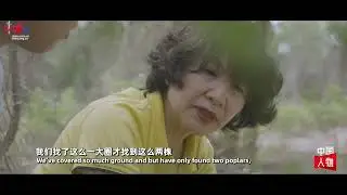 How China Achieves Harmony Between Humanity and Nature?
