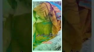pashto poetry status girl voice || pashto poetry || sad poetry || new sad poetry #sad #status