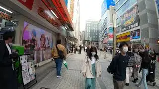 Exploring Tokyo on Foot | Hidden Gems & Local Life