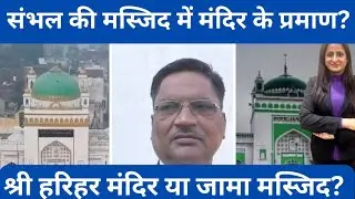 Evidence of temple found at Shahi Jama Masjid  in Sambhal during  survey  ?