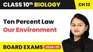 Ten Percent Law - Our Environment | Class 10 Biology Chapter 13 | CBSE 2024-25