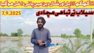Flood news today ||driya ravi satluj driya chanab flood situation #flood#silab#driyaravi#dehatiloog