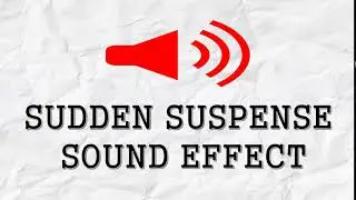SUDDEN SUSPENSE SOUND EFFECT'