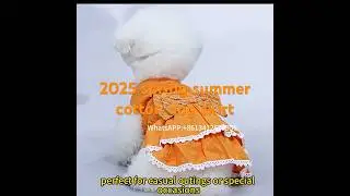 Spring/Summer Factory Wholesale Teddy Dog Vest for Dogs  