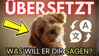 Was dein Hund dir sagen will, aber nicht kann