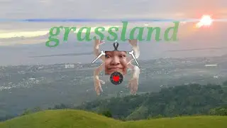 grassland vlog |short video