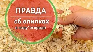 КАК использовать ОПИЛКИ на огороде? Правильное использование опилок на участке. Польза опилок