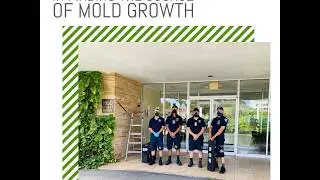 Mol Inspection #moldinspection
