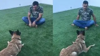 Dhoni Playing with his dog squad