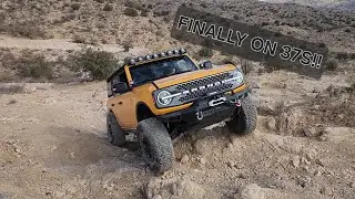 Wheeling our NEW 3