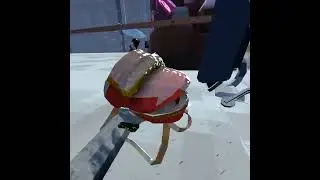 duping glitch in Animal company