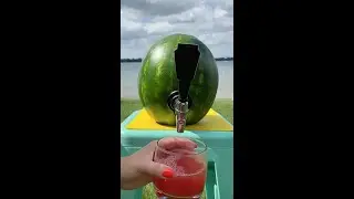 Watermelon Punch Keg | Food Network