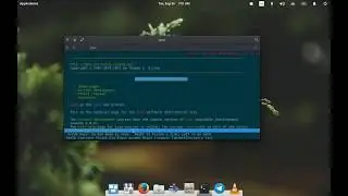 Browse site in terminal | lynx