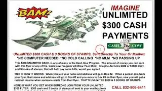 🥊Affiliate Marketing Flyer And Postcard Programs, Millionaire mailer flyers, wtm pubs programs🥊
